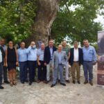 Ερύμανθος: Ο «Πλάτανος του Γιαννιά» στο Δίκτυο Αιωνόβιων Δέντρων Ελληνικής Επανάστασης ΦΩΤΟ
