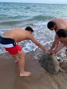 Ηλεία: Άφησε την μπαγκέτα, έσωσε την χελώνα καρέτα