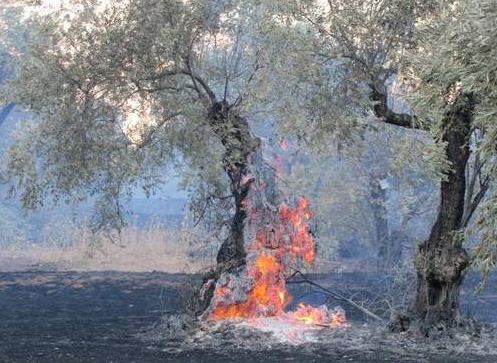 Κρήτη: Φωτιά ανάμεσα σε χωριά με πολύ ισχυρούς νοτιάδες