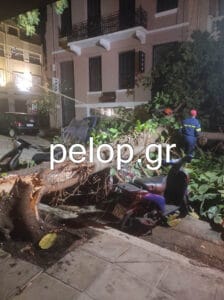 Αναστάτωση στο κέντρο της Πάτρας από πτώση δένδρου - «Παραλίγο να θρηνήσουμε θύματα»- ΦΩΤΟ - ΒΙΝΤΕΟ