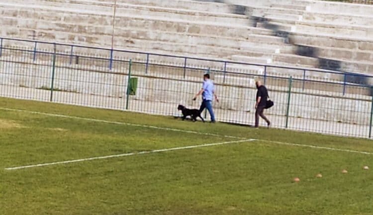 Με σκύλο της αντιτρομοκρατικής η Αστυνομία στο γήπεδο για το Παναχαϊκή-Αιγάλεω!ΦΩΤΟΓΡΑΦΙΕΣ