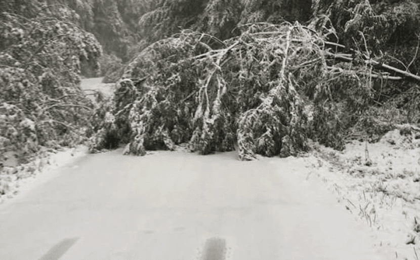 Κακοκαιρία Μπάλλος: Χιόνισε στη Φλώρινα – ΦΩΤΟ - ΒΙΝΤΕΟ