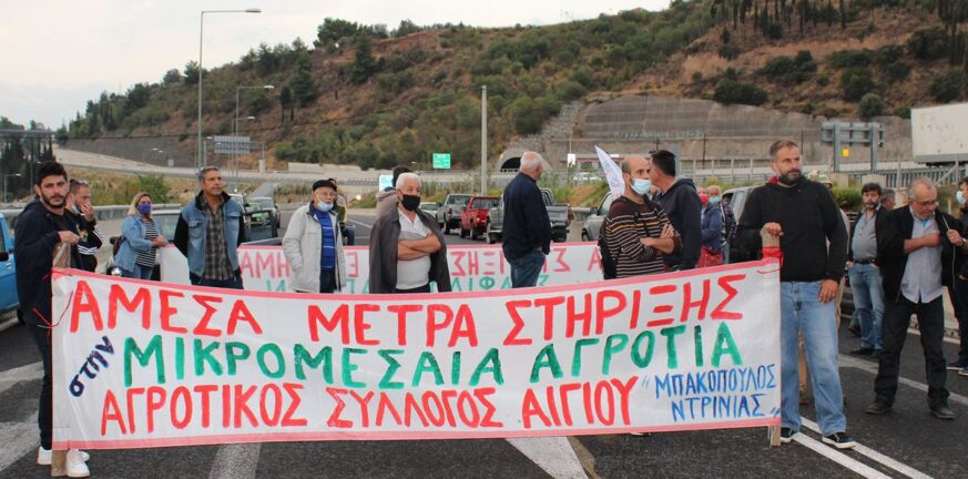 Αγροτικός Σύλλογος Αιγίου : Κάλεσμα στο αυριανό συλλαλητήριο στην γέφυρα Μεγανίτη - Μαζί και ο Σύλλογος Αλυκής