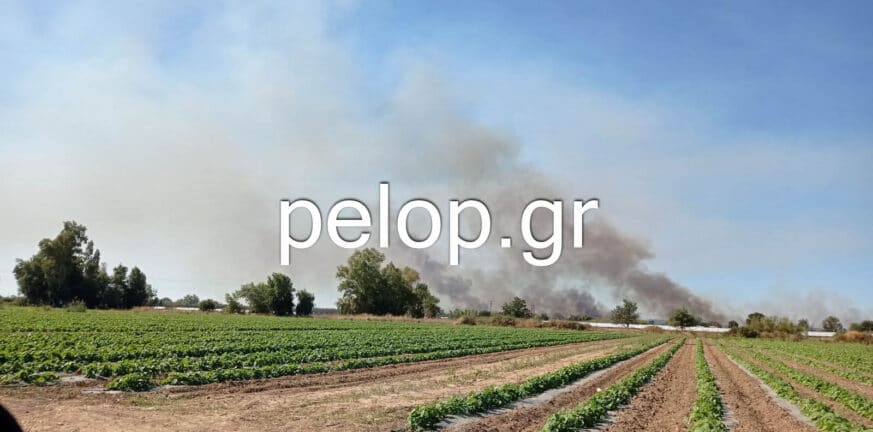 ΕΚΤΑΚΤΟ: Φωτιά στο Βουπράσιο - ΦΩΤΟ