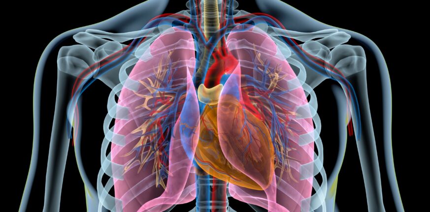 Οι επιπτώσεις των ρευματικών νοσημάτων στους πνεύμονες - Ημερίδα από το νοσοκομείο Άγιος Ανδρέας