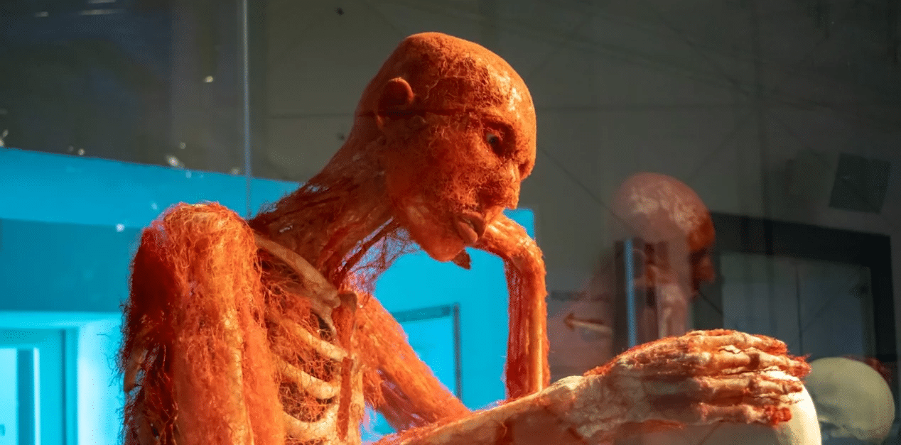 Έκθεση με πραγματικά ανθρώπινα σώματα - Η Αχαιή Βίκυ Κοκκίνη «πίσω» από το υπερθέαμα Body Worlds