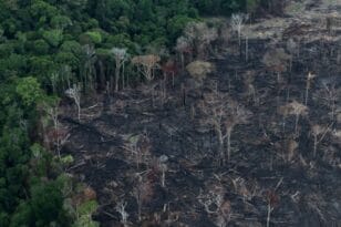 Βραζιλία: Ακραίοι καύσωνες εξαιτίας της αποψίλωσης του Αμαζονίου
