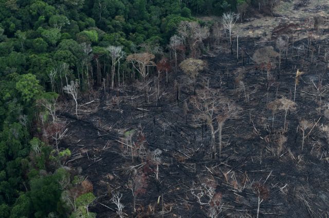 Βραζιλία: Ακραίοι καύσωνες εξαιτίας της αποψίλωσης του Αμαζονίου