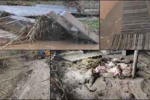 Λήμνος: Καταστροφές από την κακοκαιρία-ΒΙΝΤΕΟ