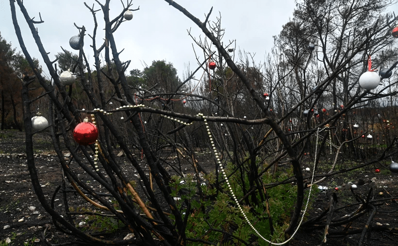Οι κάτοικοι της Βαρυμπόμπης στόλισαν τα καμένα δέντρα - ΦΩΤΟ