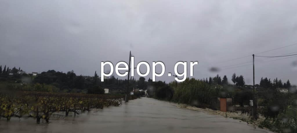 Δυτική Αχαΐα: Εικόνες καταστροφής - Πλημμύρισαν δρόμοι, χωράφια και σπίτια - Ταπεινός: «Κάνουμε τον σταυρό μας να σταματήσει η βροχή» ΦΩΤΟ - ΒΙΝΤΕΟ