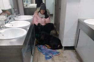 Σκόπελος: Ταξίδεψε επί πέντε ώρες στην τουαλέτα του πλοίου - Δεν υπήρχε χώρος για τον σκύλο της