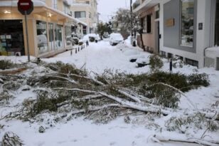 Κακοκαιρία «Ελπίς»: Υλοτόμοι σε έξι περιοχές της Αθήνας για τα πεσμένα δέντρα