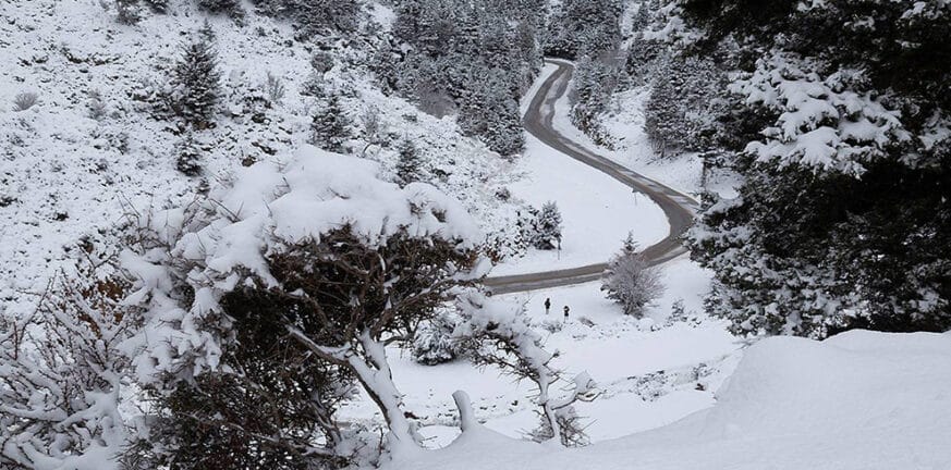 Κρήτη - Έντονες χιονοπτώσεις: Μάχη για να μείνουν οι δρόμοι ανοιχτοί -ΒΙΝΤΕΟ