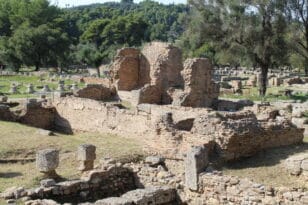 Αρχαία Ολυμπία: Αναγεννιούνται ελαιώνες που έγιναν στάχτη - Δωρεά 150.000 δενδρυλλίων