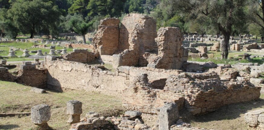 Αρχαία Ολυμπία: Αναγεννιούνται ελαιώνες που έγιναν στάχτη - Δωρεά 150.000 δενδρυλλίων