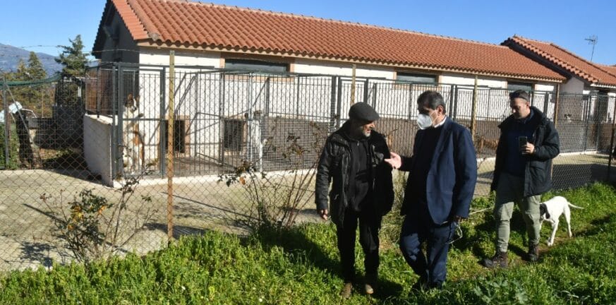 Πάτρα: Ο Κώστας Πελετίδης στο καταφύγιο αδέσποτων ζώων του Δήμου στο Δρέπανο - ΦΩΤΟ