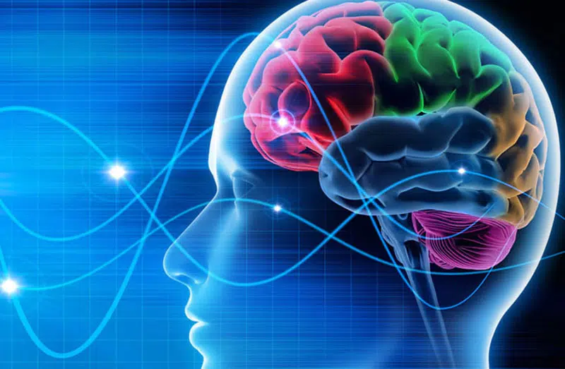 Κορονοϊός – Νέα έρευνα για όσους νόσησαν: Προκαλεί βλάβες στα νευρικά κύτταρα του εγκεφάλου και προβλήματα μνήμης