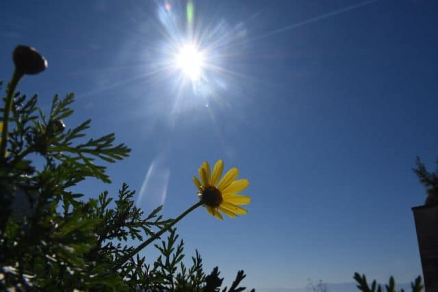 Ηλιοφάνεια και άνοδος θερμοκρασίας – Ο καιρός στην Πάτρα τις επόμενες μέρες