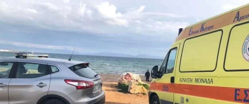 Ραφήνα: Σορός άνδρα ξεβράστηκε σε παραλία - Βρέθηκε σημείωμα στο μπουφάν του