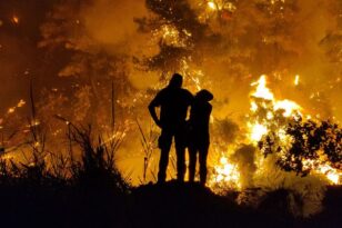 Φωτιές - Βόρεια Εύβοια: Δεύτερη απόφαση για επιχορήγηση σε πυρόπληκτες επιχειρήσεις και αγρότες