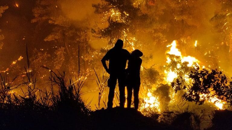 Φωτιές - Βόρεια Εύβοια: Δεύτερη απόφαση για επιχορήγηση σε πυρόπληκτες επιχειρήσεις και αγρότες