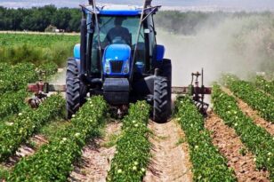 Νέοι Αγρότες: Εγκρίθηκαν οι πιστώσεις για την καταβολή ενισχύσεων ύψους 223,3 εκατομμυρίων ευρώ