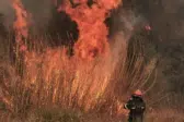 Δήμος Πατρέων: Σε επιφυλακή κινδύνου πυρκαγιάς – Απαγόρευση κυκλοφορίας σε δασικές περιοχές την Κυριακή