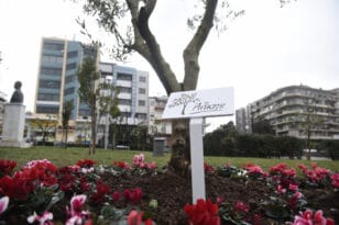 Θεσσαλονίκη: Βεβήλωσαν το πάρκο κατά της οπαδικής βίας - ΒΙΝΤΕΟ