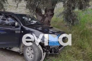 Χαλκίδα: Αυτοκίνητο «καρφώθηκε» σε δέντρο – Αυτοψία στο σημείο που σημειώθηκε το νέο τροχαίο