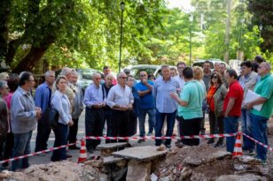 Πάτρα - Δάσος Κεφαλόβρυσου: Ξεσηκωμός κατά του Δασαρχείου για κοπή 50 δέντρων