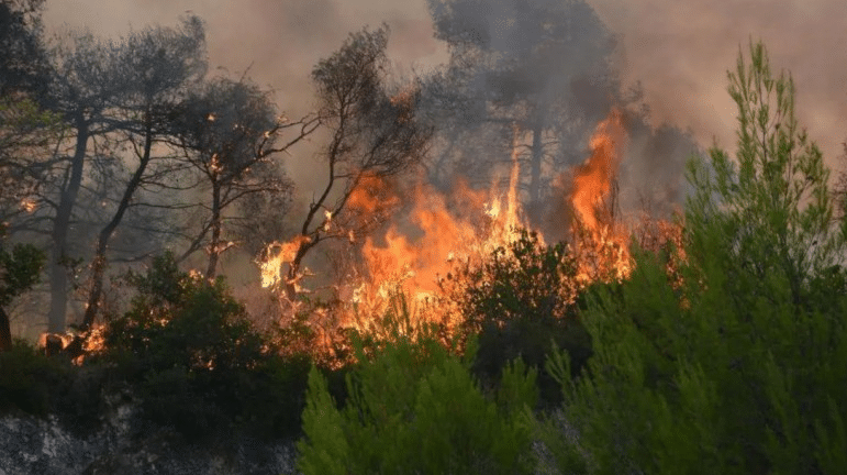 Μεγάλη φωτιά σε δασική έκταση στη Χαλκιδική