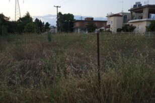 Πάτρα: Κάλεσμα του Δήμου στους ιδιοκτήτες οικοπέδων να τα καθαρίσουν – Ενόψει αντιπυρικής περιόδου