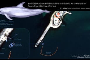 Πόλεμος στην Ουκρανία: Εκπαιδευμένα δελφίνια ανέπτυξαν οι Ρώσοι στη Μαύρη Θάλασσα