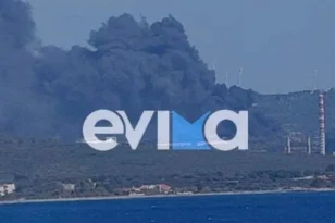 Εύβοια: Μεγάλη φωτιά στο Αλιβέρι κοντά στο εργοστάσιο της ΔΕΗ
