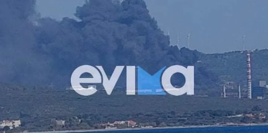 Εύβοια: Μεγάλη φωτιά στο Αλιβέρι κοντά στο εργοστάσιο της ΔΕΗ