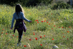 αποκλεισμός