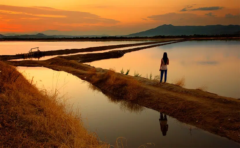Λιμνοθάλασσα Μεσολογγίου: Επίσκεψη σε ένα μοναδικό οικοσύστημα, τι να δείτε