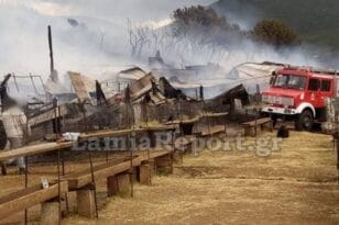 Κάηκαν ζωντανά δεκάδες ζώα από φωτιά που ξέσπασε σε στάβλο στη Φθιώτιδα