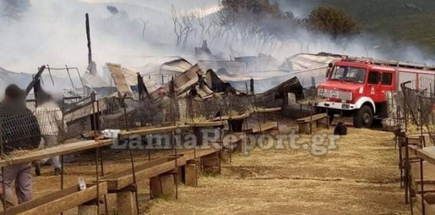 Κάηκαν ζωντανά δεκάδες ζώα από φωτιά που ξέσπασε σε στάβλο στη Φθιώτιδα