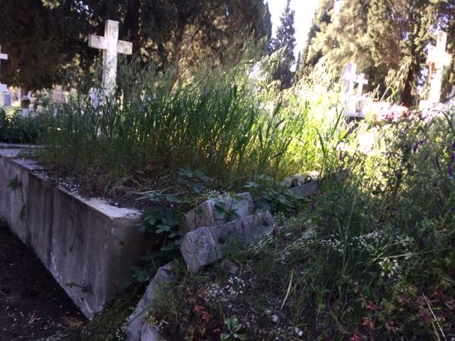Πάτρα Ενωμένη: «Άθλιες οι εικόνες που αντικρίσαμε στο Α΄ Κοιμητήριο Πατρών» ΦΩΤΟ