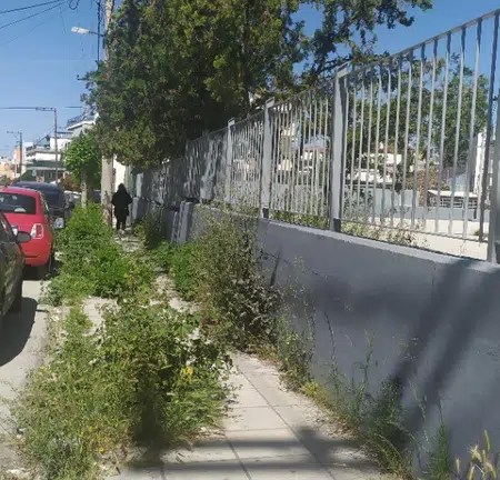 Ωρα Πατρών: Επιστολή σε Δήμο για κοπή χόρτων, ηλεκτροφωτισμός και καθαριότητα σε σχολικές εγκαταστάσεις - ΦΩΤΟ Ωρα Πατρών: Επιστολή σε Δήμο για κοπή χόρτων, ηλεκτροφωτισμός και καθαριότητα σε σχολικές εγκαταστάσεις - ΦΩΤΟ