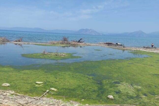 Πολιτιστικός Σύλλογος Αλισσαίων Πείρος: Έχει κλείσει από φερτά υλικά το ποτάμι - Κίνδυνος για το οικοσύστημα