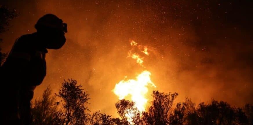 Χαλκιδική: Υπό μερικό έλεγχο η πυρκαγιά σε δασική έκταση κοντά στον Στανό