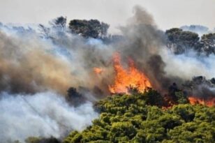 Χαλκιδική: Ξέσπασε φωτιά σε δασική έκταση - Εναέρια επιχείρηση κατάσβεσης
