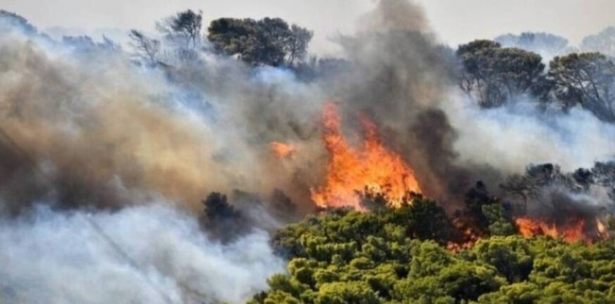 Χαλκιδική: Ξέσπασε φωτιά σε δασική έκταση - Εναέρια επιχείρηση κατάσβεσης