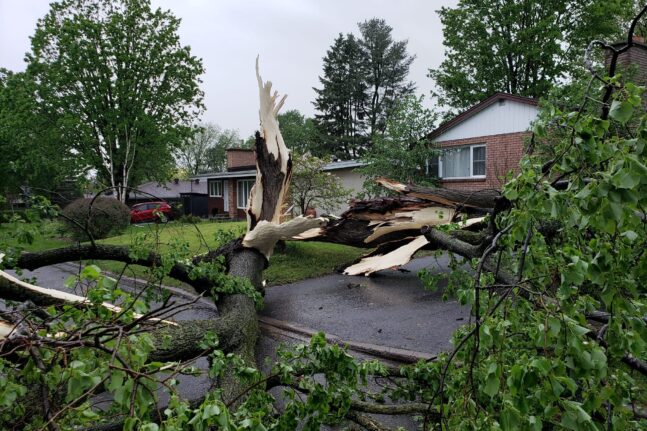 Φονική καταιγίδα στον Καναδά: Οκτώ νεκροί και 300.000 νοικοκυριά χωρίς ρεύμα