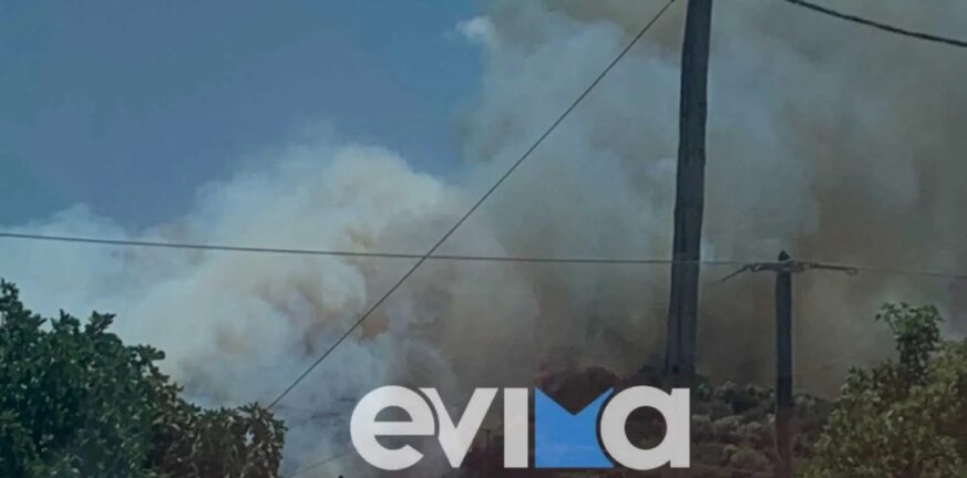 Αλιβέρι: Μεγάλη φωτιά - Συναγερμός στην πυροσβεστική