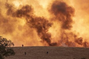 Ισπανία: Εκδηλώνονται πυρκαγιές από τον καύσωνα - «Τυλίγονται» στις φλόγες χιλιάδες στρέμματα δάσους ΒΙΝΤΕΟ