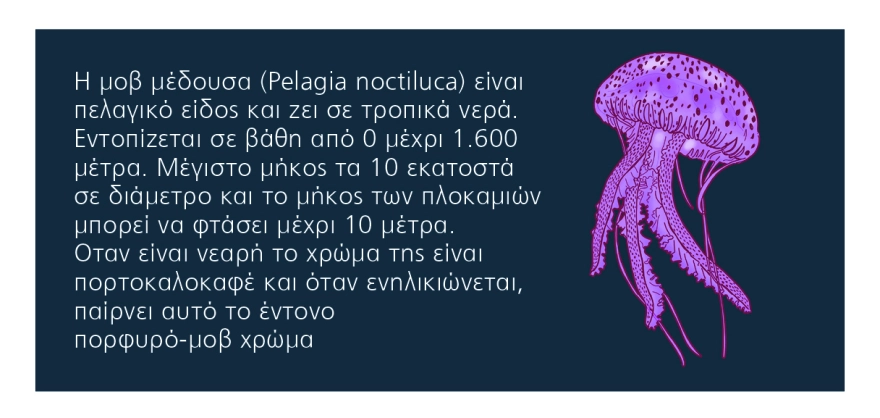 μέδουσες